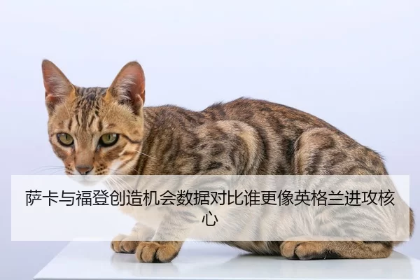 萨卡与福登创造机会数据对比谁更像英格兰进攻核心
