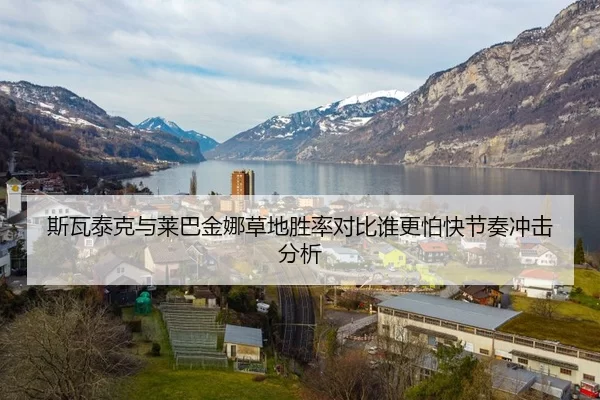 斯瓦泰克与莱巴金娜草地胜率对比谁更怕快节奏冲击分析