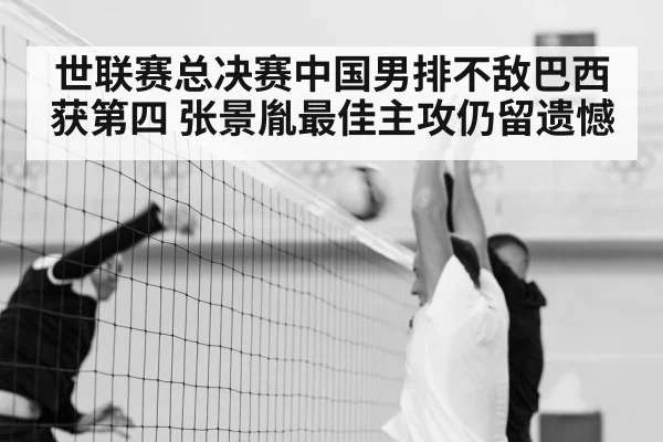 Chinese men's volleyball match