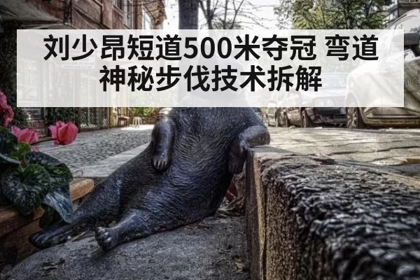 刘少昂短道500米夺冠 弯道神秘步伐技术拆解